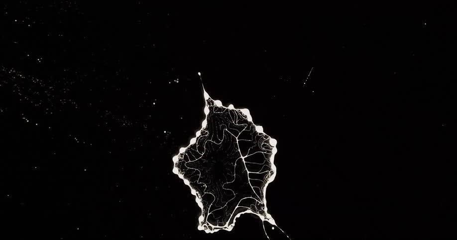 A bubble of white ink breaks and contracts against a black background