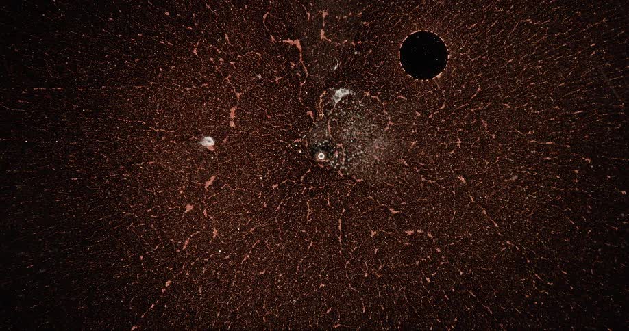 An expanding sphere of gold glittering particles scattering on a dark background