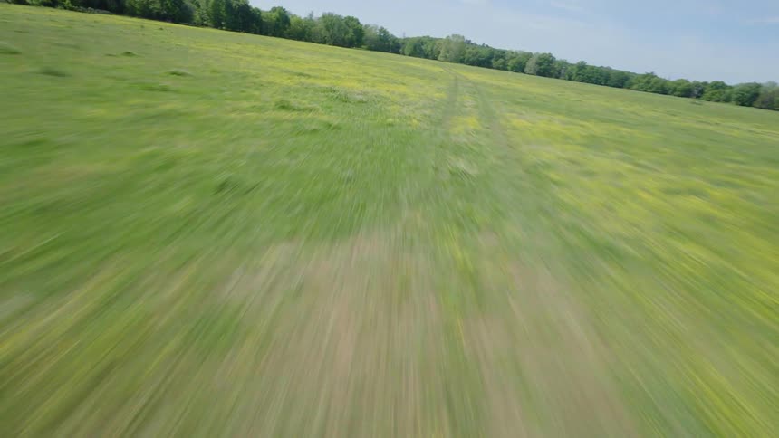 Aerial of a grassland bordered by a forest on a summer day