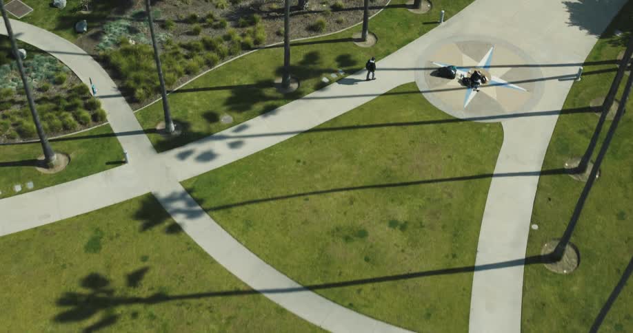 Aerial view of a person walking on a path through a park surrounded by palm trees