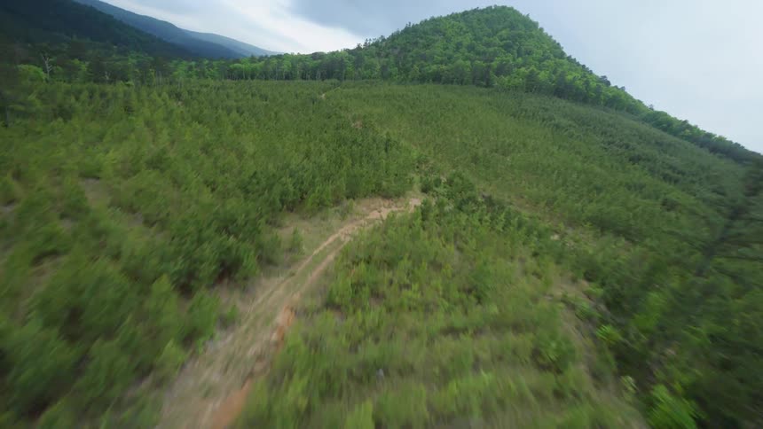 Dirt road leading to a forest covered hill in Arkansas
