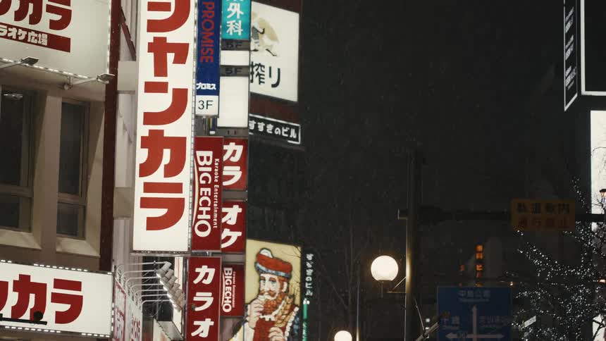 Japanese billboards are lit up in an urban setting at night on a snowy night in Tokyo