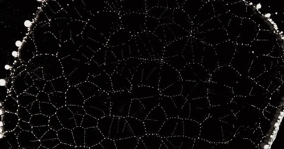Abstract view of a water droplet drying and generating abstract patterns against a black background