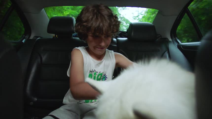 Boy sitting in the backseat of a moving car and petting a dog with white fur
