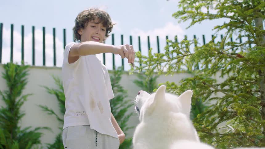 Boy keeps his dogs attention to do tricks by dangling a treat in front of it