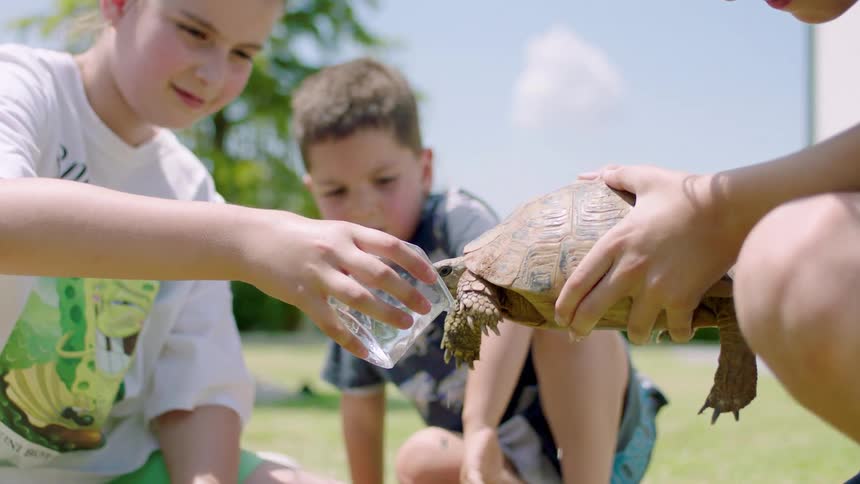 Three kids take time to give a turtle water from a glass