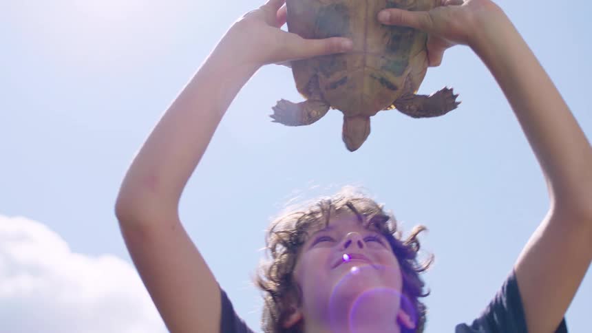 Top view of a smiling little boy holding a turtle in his hands