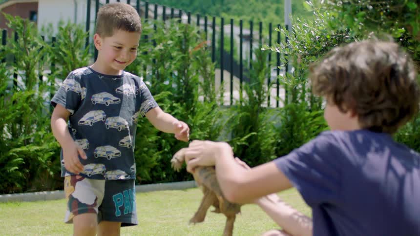 Boy holds a turtle up for his little brother to see who reaches to pet it
