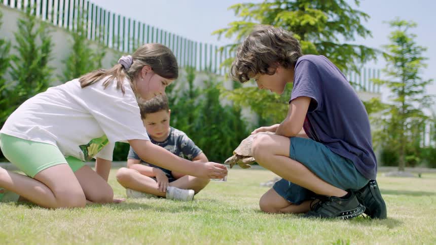Children holding a turtle and giving it water in a pot