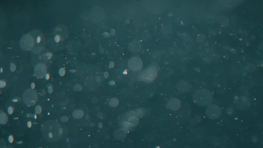 Close up of underwater air bubbles in front of the camera
