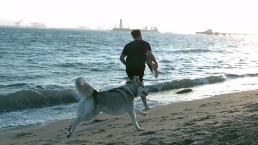 A man runs on the beach with his husky in slow motion