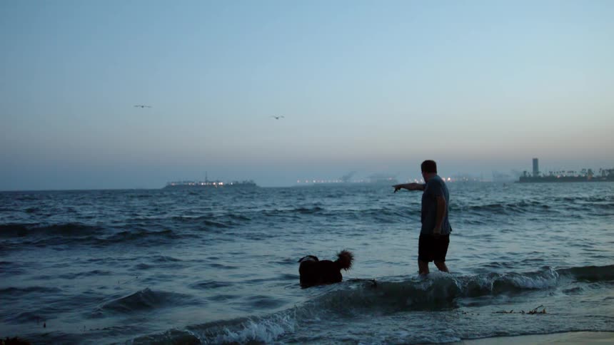 Dog entering the sea with its owner in the late afternoon