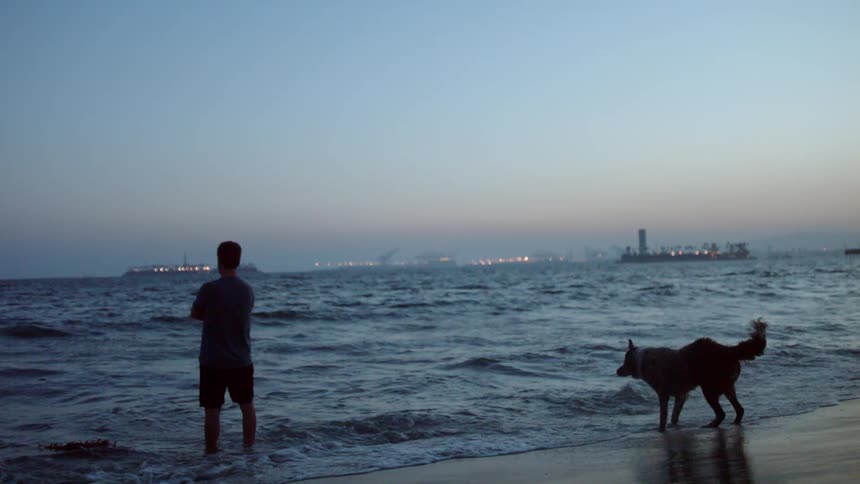 A man stands in the water with his dog as waves wash on the the beach