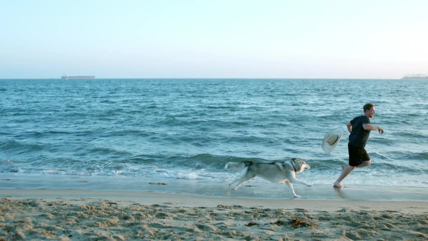 Dog and its owner running on sand near the shoreline in super slow motion