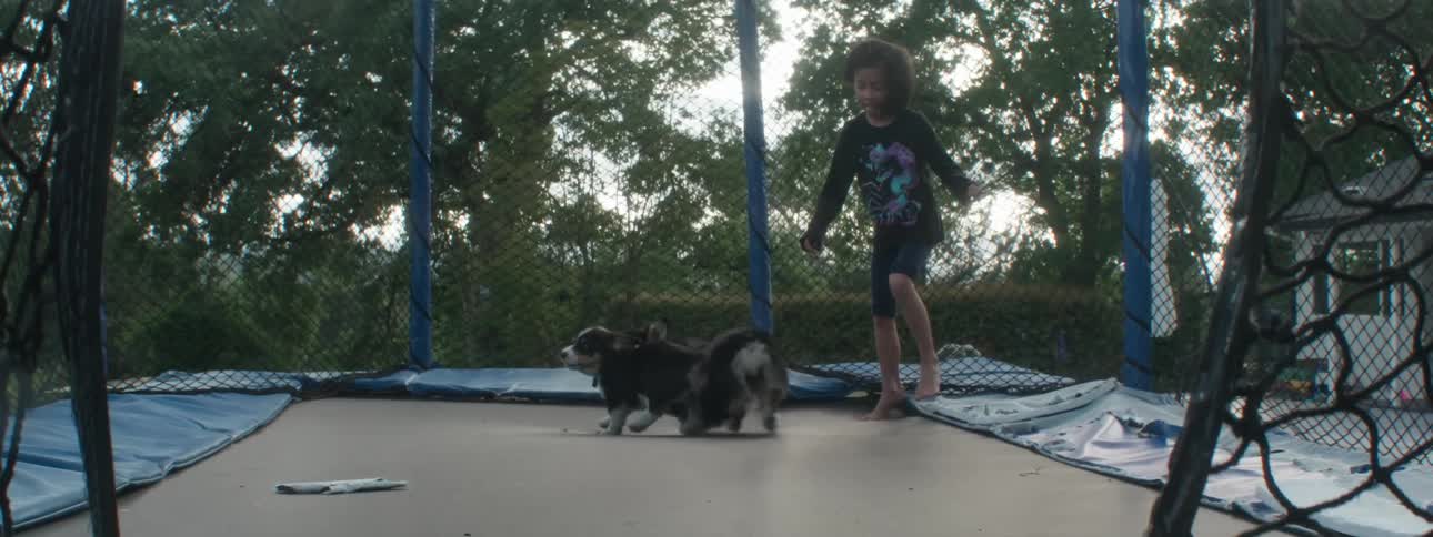 Girl plays on a trampoline with two dogs