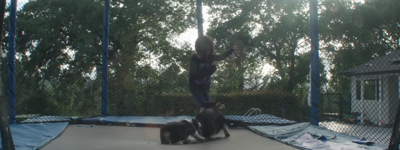 Little girl jumping on the trampoline with two dogs together