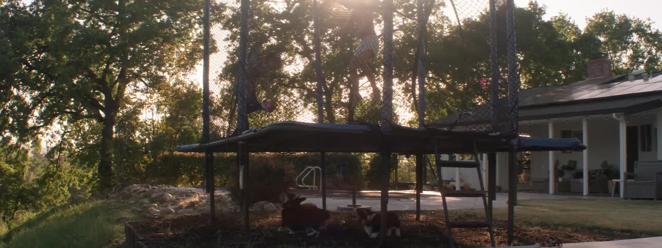 Two girls aggravate their dogs by jumping on a trampoline