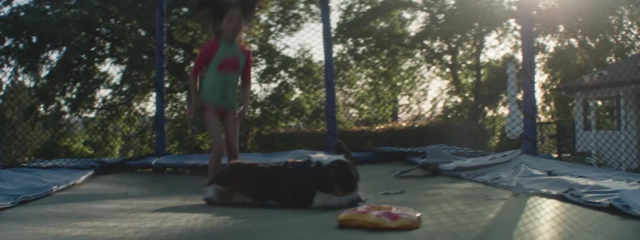 Two girls jumping on a trampoline with two dogs inside