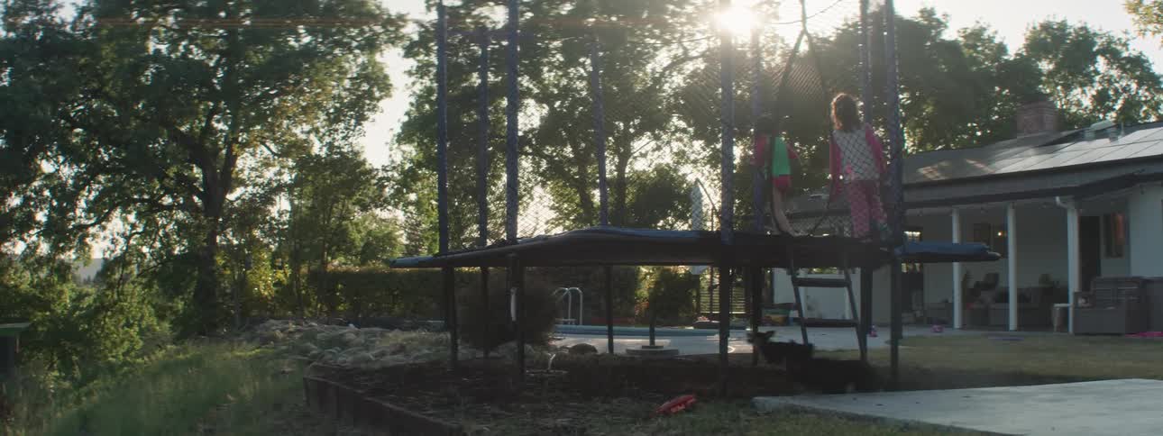 Two children jumping on trampoline and two dogs running below