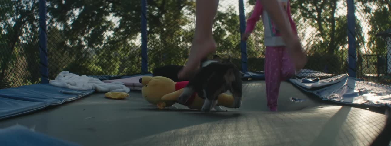 Siblings play on a trampoline the backyard