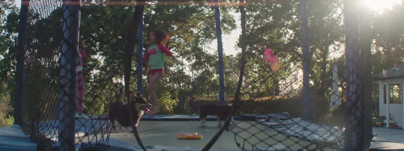 Siblings play on a trampoline in the backyard with their dogs