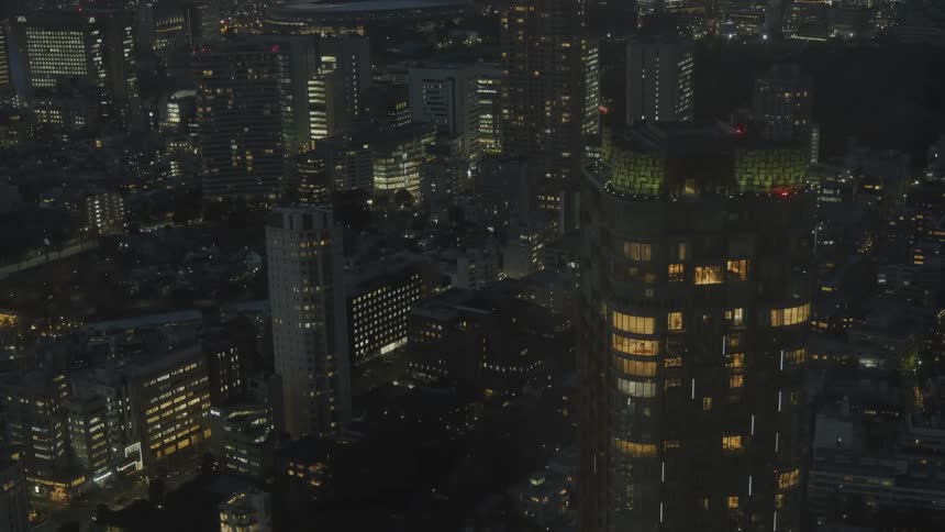 Panorama of skyscrapers in a metropolis at night