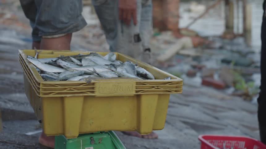 Pair of a mans hands placing a box with freshly caught fish