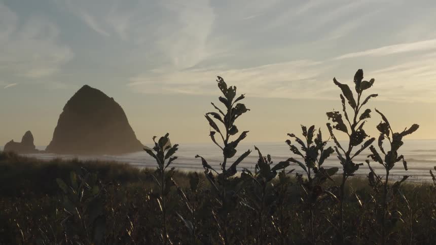 Haystack rock sits off the oregon coast at dusk