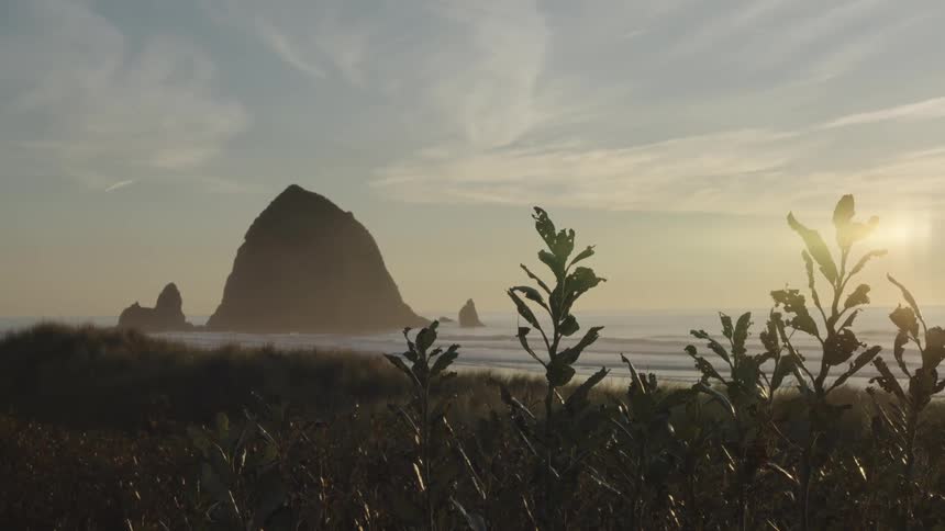 Coastal landscape during sunrise with a large rock in the sea and vegetation in the foreground