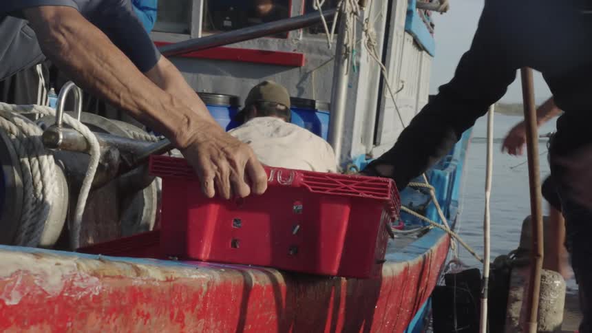 Professional fisherman on a boat moving plastic crates