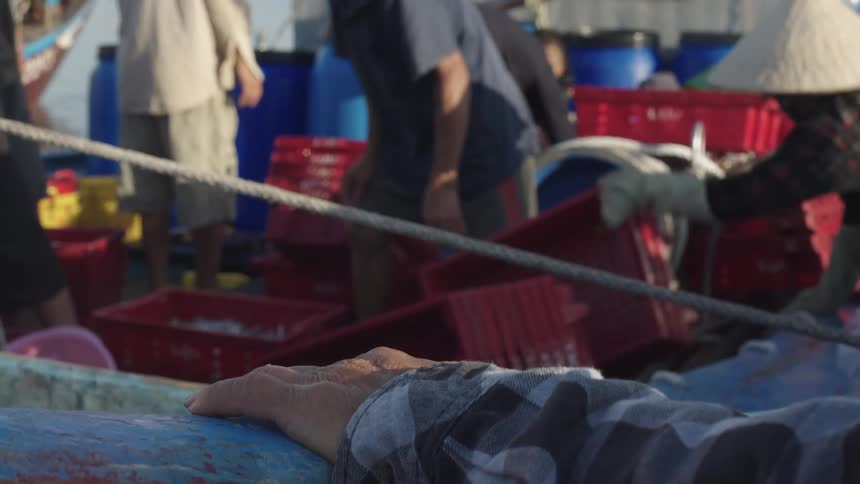 People working and picking up boxes of fresh fish deposits