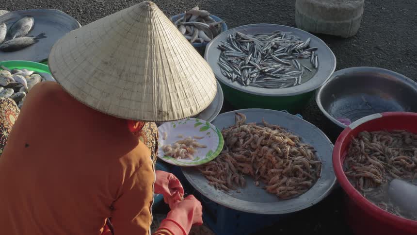 An asian woman takes the veins out of shrimp at an outdoor market