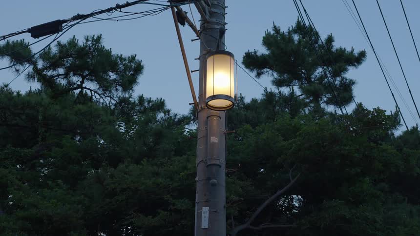 Lamp on a wired lamppost with a tree behind