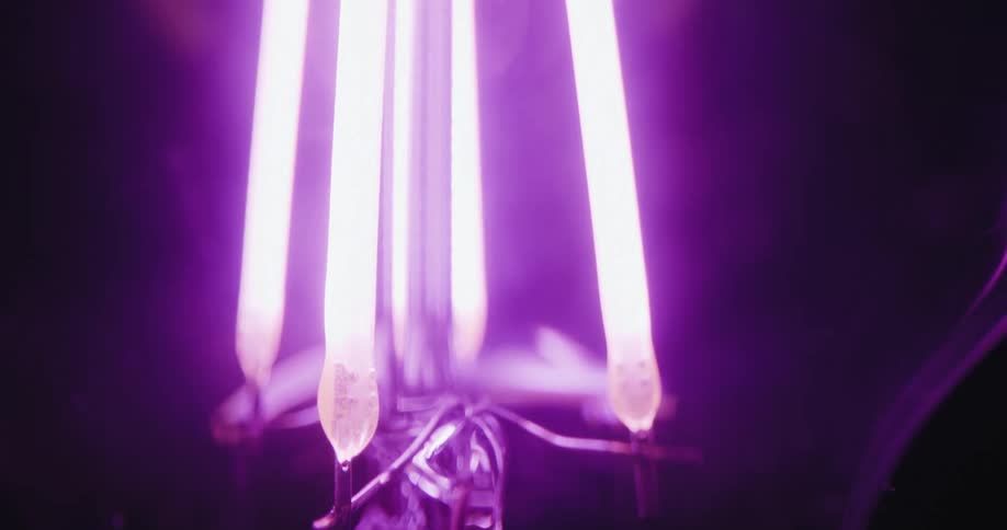 A closeup view of a glowing filament inside a purpletinted light bulb