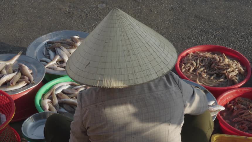 Person with a hat sitting on the street and selling fish in bowls