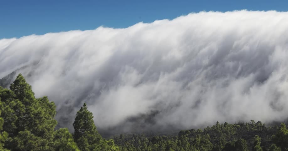 Natural landscape with low clouds flowing over a hill with forest