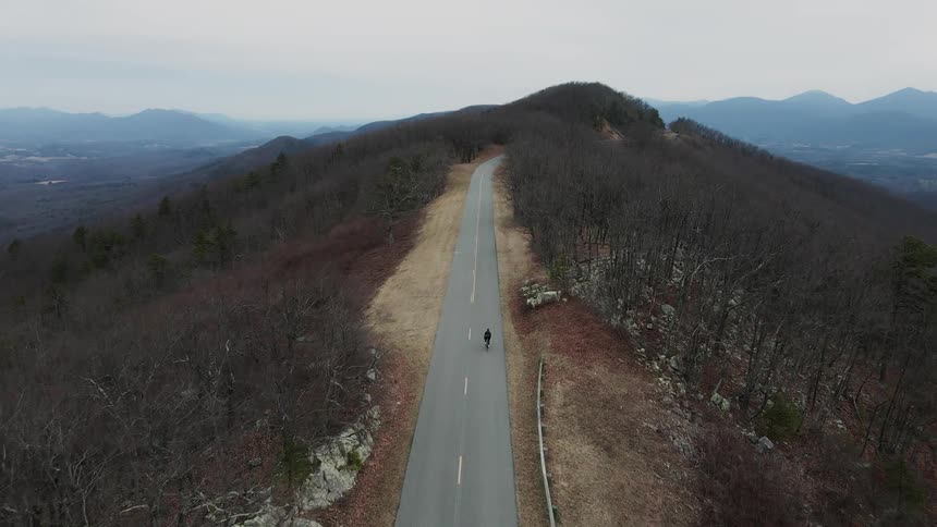 A person rides a bicycle down a remote road surrounded by forests