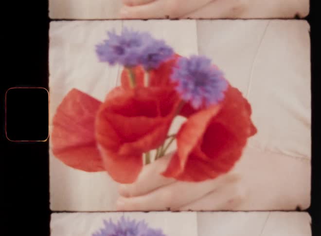 Unrecognisable brunette woman holds a small bouquet of flowers consisting of red poppies and lilac cornflowers in front of her chest wearing a beige linen shirt while standing in a field of wildflowers on a warm spring evening