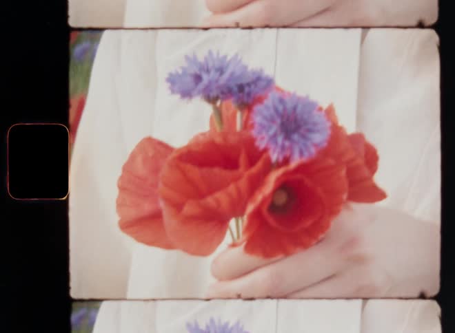 A young white woman wearing a natural beige linen shirt holds a red arrangement or bouquet of flowers while standing in a field of poppies and contemplating outdoors with a nostalgic avantgarde vibe