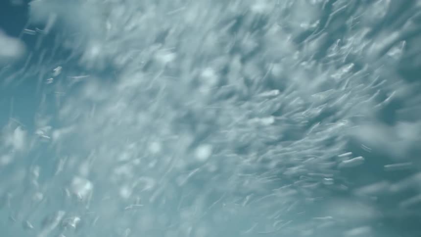Bubbles float in the pool water