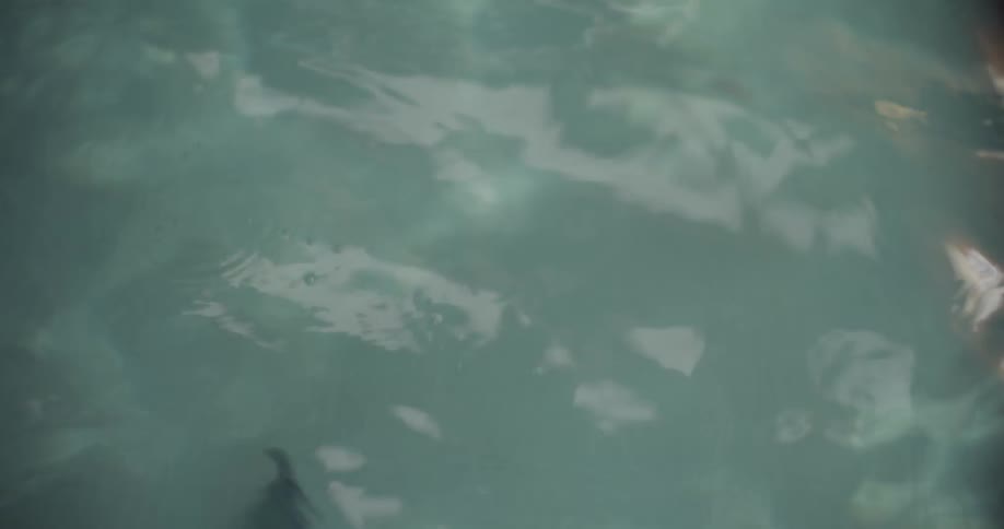 Smartphone falling and sinking into a pool