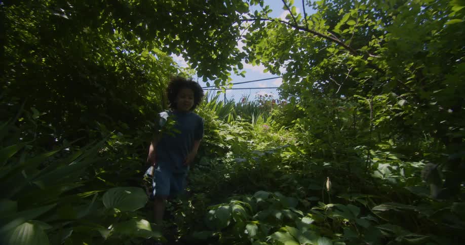 Little boy walking through a natural environment surrounded by green vegetation