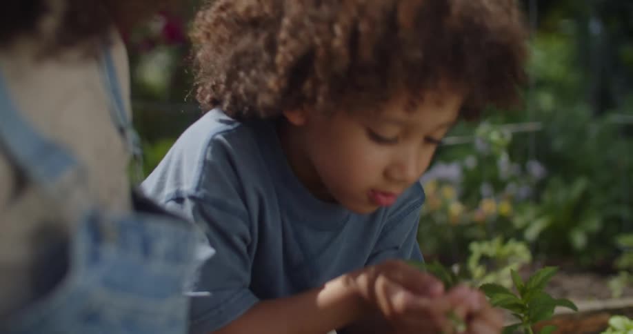 Little boy next to his mother smelling a handful of herbs in a backyard