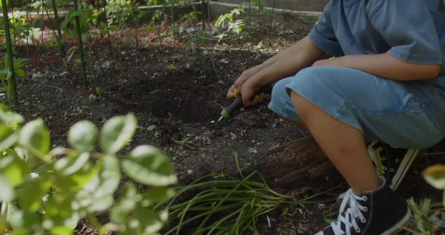 Mother and son using a small trowel to move soil on the garden