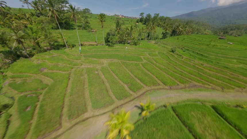 Aerial view of lush farmland in Bali Indonesia
