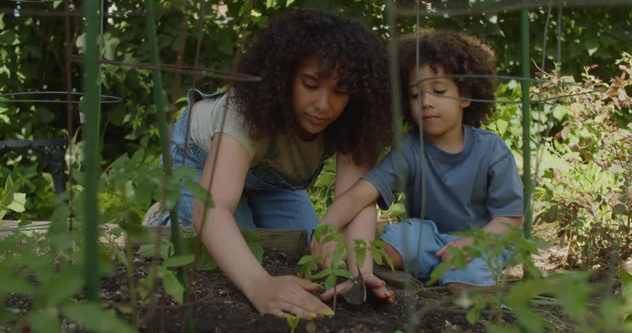Mother and son in a backyard on land planting a plant
