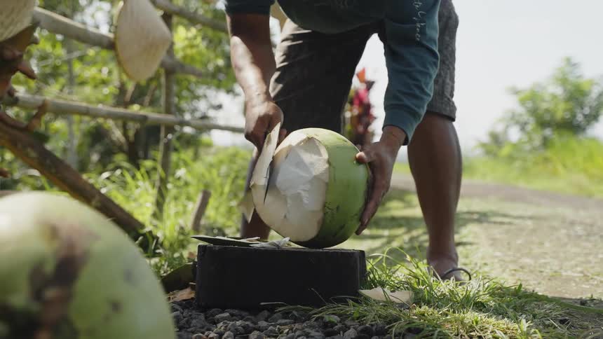 A man uses a chopping knife to carve up a large coconut