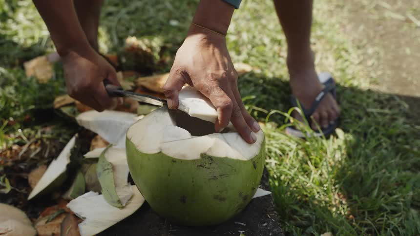 A roadside vendor using a knife to chop a coconut open for a refreshing drink