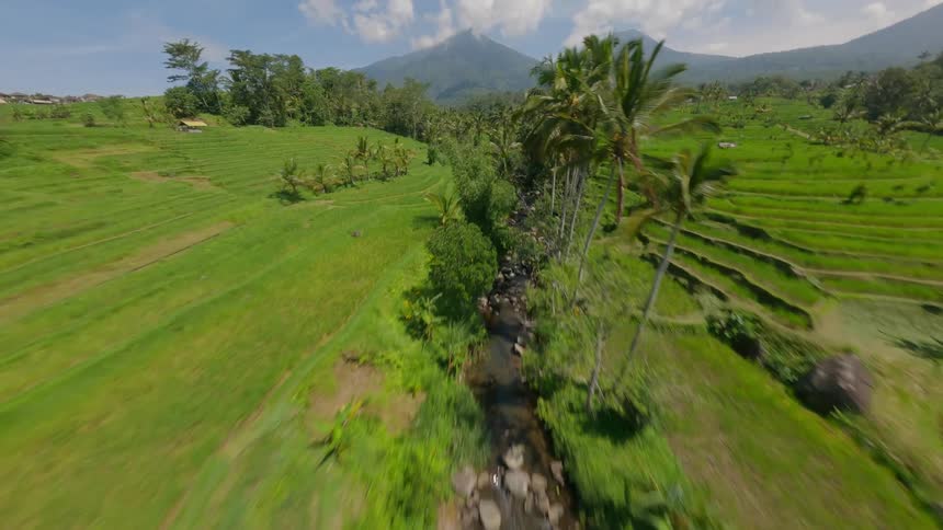 Aerial view of a lush tropical landscape with terraced fields and mountains in the background