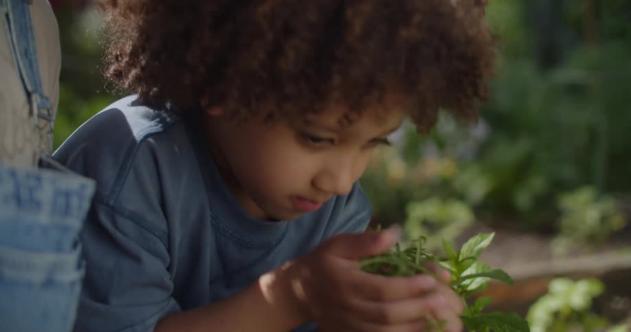 Woman and a little boy picking herbs from a garden plot